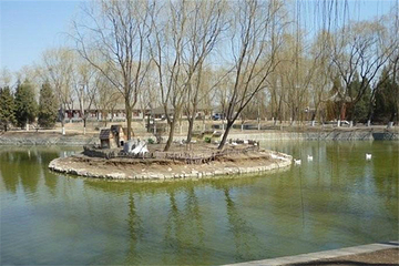 金T湖畔青蛙高尔夫练习场第 6 张图片