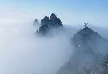 老界岭旅游度假区第 74 张图片