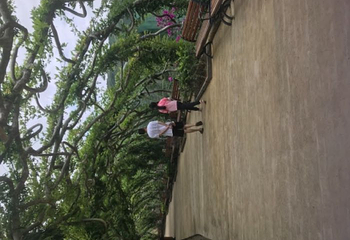 贵州九仙旅游景区第 113 张图片