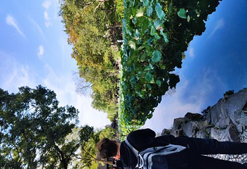 周庄一日游第 16 张图片