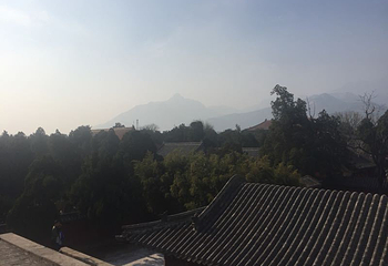 东山文化博艺园第 28 张图片