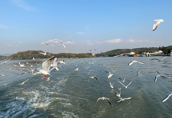 水浒城第 63 张图片