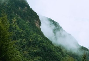野荷谷第 15 张图片