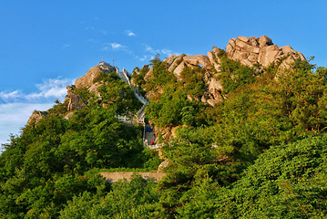 洛阳白云山风景区第 121 张图片