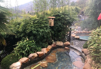 崇阳浪口森林温泉第 26 张图片