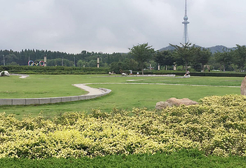 青岛汇泉商业广场第 20 张图片