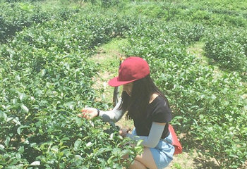 皇后山生态旅游度假区第 15 张图片