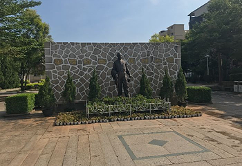 战地观光园第 11 张图片