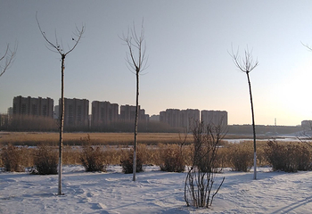 同心湖冰雪王国第 10 张图片