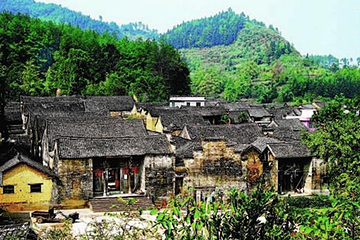 熊村第 4 张图片