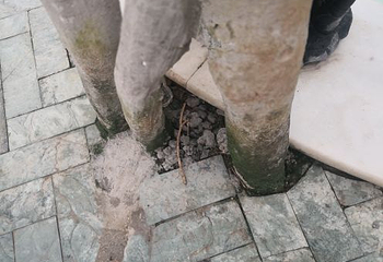雁鸣湖恐龙谷凌云温泉第 23 张图片