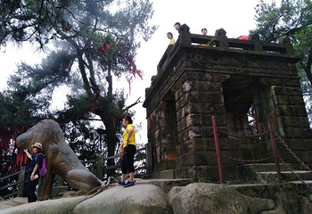 缙云山生态旅游观光索道第 25 张图片