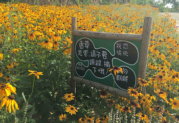 薰衣草NE庄园第 20 张图片