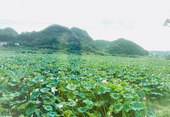 周洛飞瀑漂流第 21 张图片