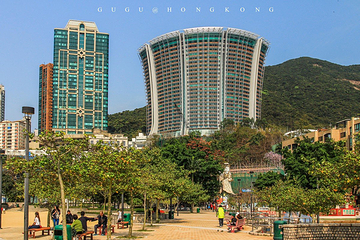 浅水湾第 102 张图片