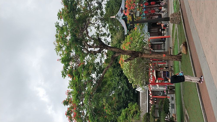 深圳华侨城旅游度假区第 49 张图片