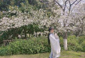 西湖风景区-太子湾公园第 30 张图片