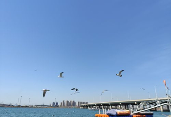 大连滨海国家地质公园第 25 张图片