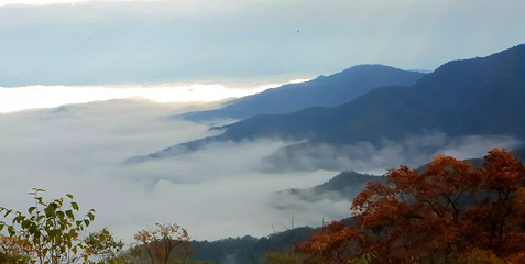 观雾山第 21 张图片