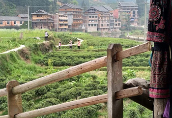 丽宫南山花世界第 12 张图片