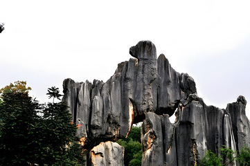 石林风景区第 328 张图片