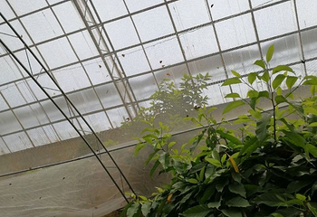 聚宝盆（天沐）盐温泉小镇第 6 张图片