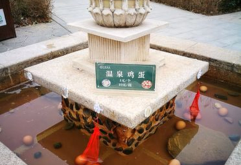 鄢陵花溪温泉第 126 张图片