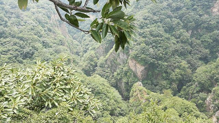 天子山第 28 张图片