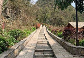 高荡千年布依古寨文化旅游景区第 40 张图片