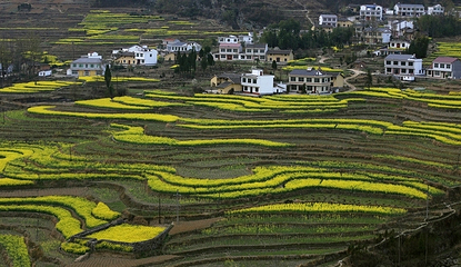 凤堰古梯田第 15 张图片