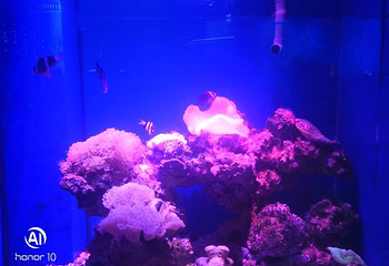 石家庄海洋公园(海悦天地购物广场店)第 36 张图片