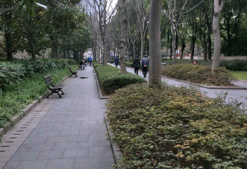 徐家汇公园第 23 张图片