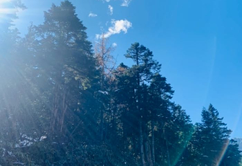 阿坝州汶川特别旅游区第 31 张图片