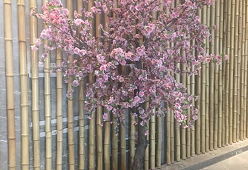 天津观湖城堡温泉第 56 张图片
