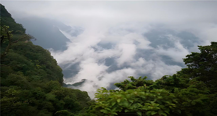 汉中龙头山国际旅游度假区第 54 张图片