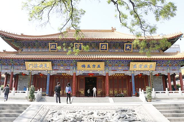 大兴善寺第 76 张图片
