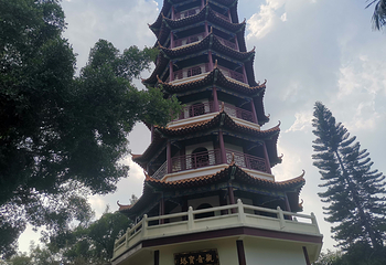 龙岗龙园第 7 张图片