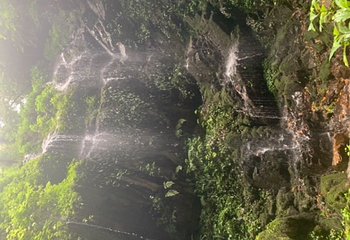 莫里热带雨林景区第 54 张图片