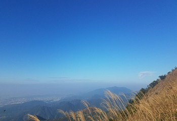 银瓶嘴第 10 张图片