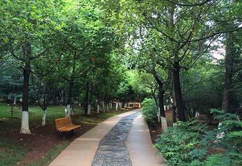 寥廓山第 5 张图片