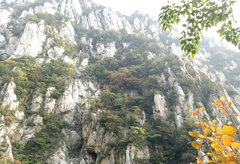 云台山高空玻璃栈道第 19 张图片