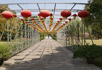 滨江森林公园第 71 张图片