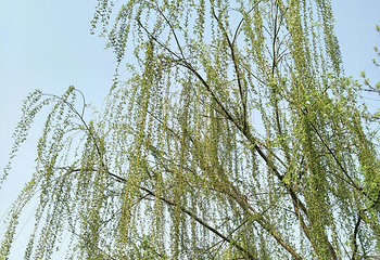 睢杞战役纪念馆第 4 张图片