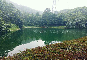 石峰动物园第 19 张图片