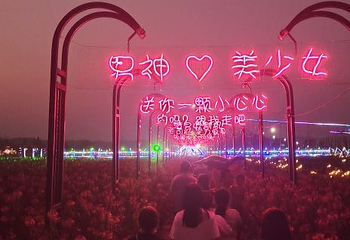 新枫林花海无忧牧场第 18 张图片