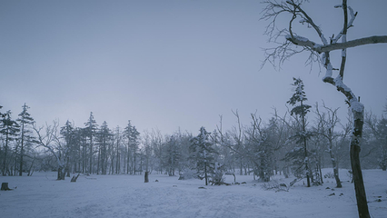 雪乡大雪谷第 41 张图片