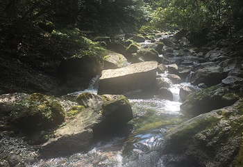 后河天门峡第 26 张图片