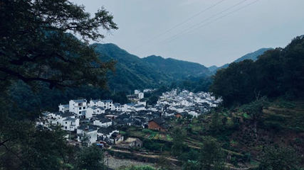 菊径村第 11 张图片