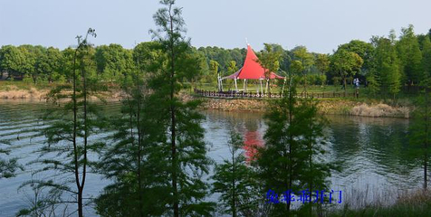 湖心岛第 14 张图片