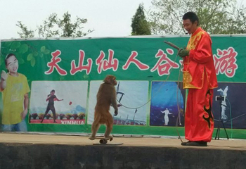 天山仙人谷第 12 张图片